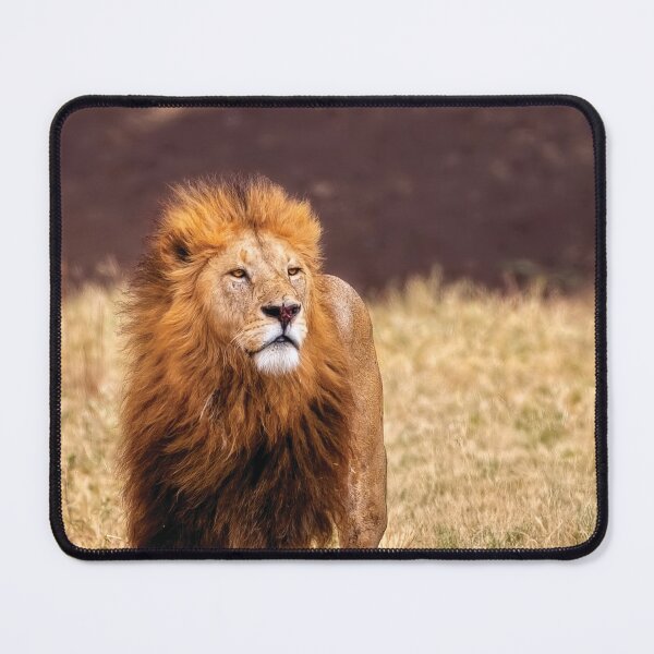 Item preview, Majesty designed and sold by Kay Brewer.
