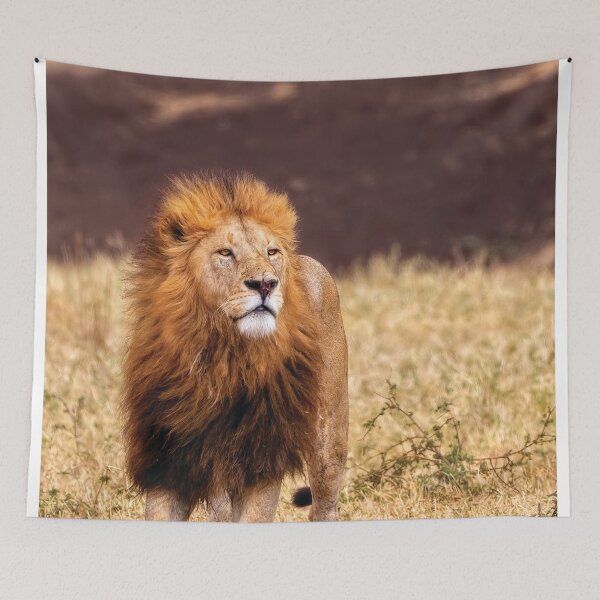 Item preview, Majesty designed and sold by Kay Brewer.