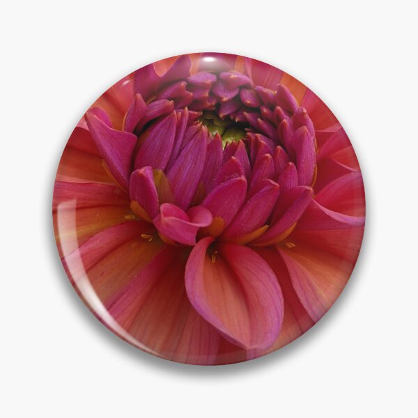 Item preview, Dahlia 'Negroni Sunset' in Full Bloom, Botanical Photography designed and sold by PrettyAround.