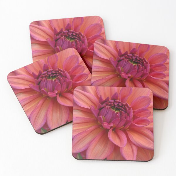Item preview, Dahlia 'Negroni Sunset' in Full Bloom, Botanical Photography designed and sold by PrettyAround.