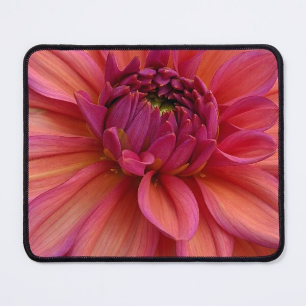 Item preview, Dahlia 'Negroni Sunset' in Full Bloom, Botanical Photography designed and sold by PrettyAround.