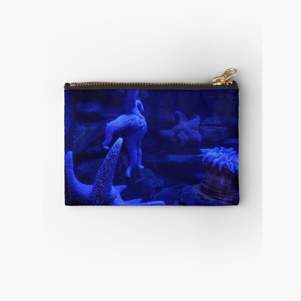 Item preview, Blue Starfish in an Underwater Environment designed and sold by shanaeartists.
