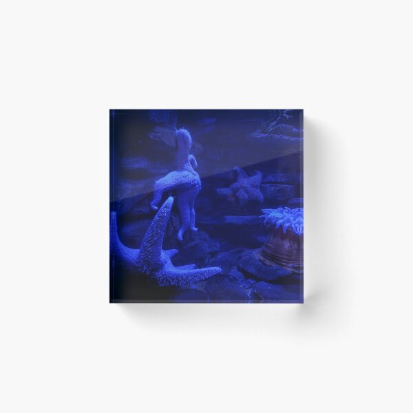 Item preview, Blue Starfish in an Underwater Environment designed and sold by shanaeartists.