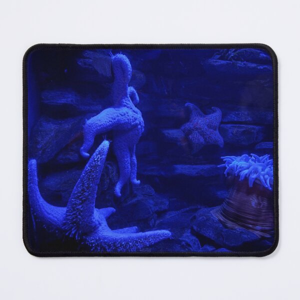 Item preview, Blue Starfish in an Underwater Environment designed and sold by shanaeartists.