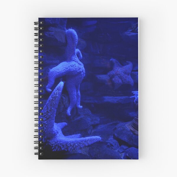 Item preview, Blue Starfish in an Underwater Environment designed and sold by shanaeartists.