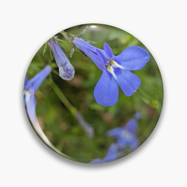 Item preview, Lobelia 'Sapphire' Blue Flowers, Macro Garden Photography designed and sold by PrettyAround.