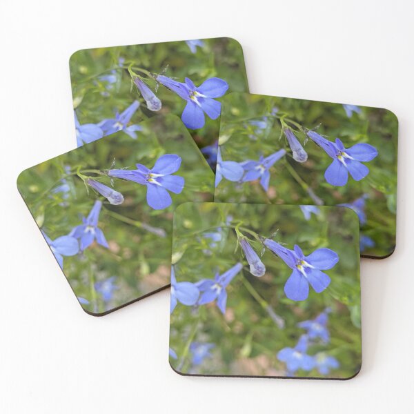 Item preview, Lobelia 'Sapphire' Blue Flowers, Macro Garden Photography designed and sold by PrettyAround.