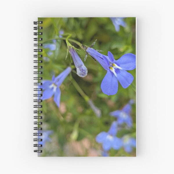 Item preview, Lobelia 'Sapphire' Blue Flowers, Macro Garden Photography designed and sold by PrettyAround.