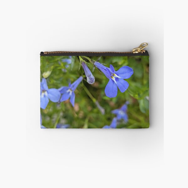 Item preview, Lobelia 'Sapphire' Blue Flowers, Macro Garden Photography designed and sold by PrettyAround.