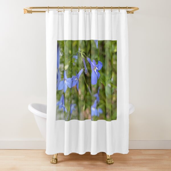Item preview, Lobelia 'Sapphire' Blue Flowers, Macro Garden Photography designed and sold by PrettyAround.