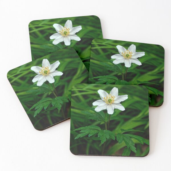Item preview, Macro Image of WOOD ANEMONE designed and sold by Tom McPherson Photography.