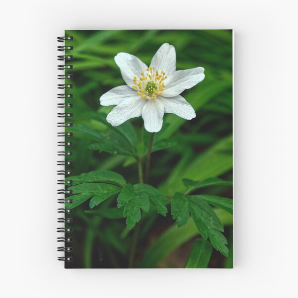 Item preview, Macro Image of WOOD ANEMONE designed and sold by Tom McPherson Photography.