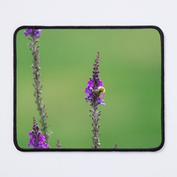Item preview, Busy Bee designed and sold by Hollymphoto.