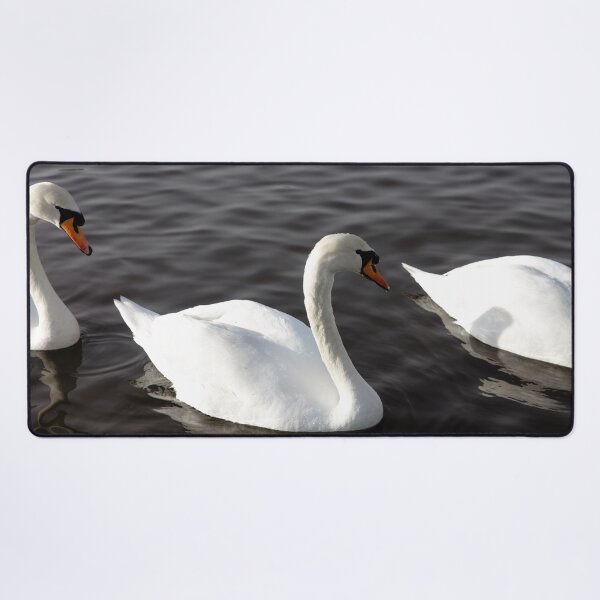 Item preview, Trio of Swans designed and sold by Hollymphoto.