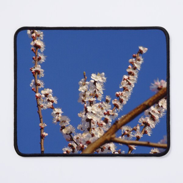 Item preview, Spring Diagonal designed and sold by arukr.