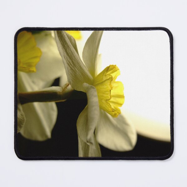 Item preview, The Light Within designed and sold by arukr.