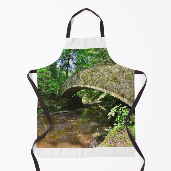 Item preview, Stone Bridge in Hocking Hills State Park designed and sold by LisaWootenPhoto.