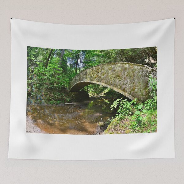 Item preview, Stone Bridge in Hocking Hills State Park designed and sold by LisaWootenPhoto.