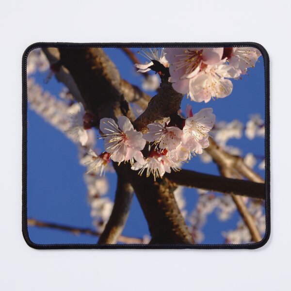 Item preview, Apricot Blossom on Deep Blue Sky designed and sold by arukr.