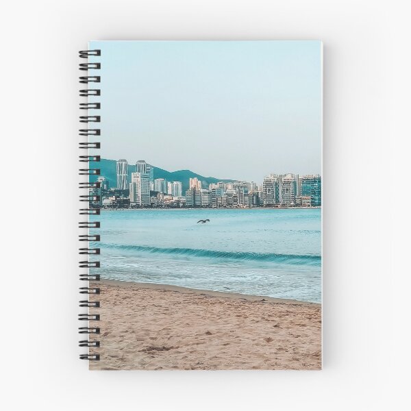 Item preview, beach and skyline of busan ft. a bird flying (close-up edition) designed and sold by calinedesign.