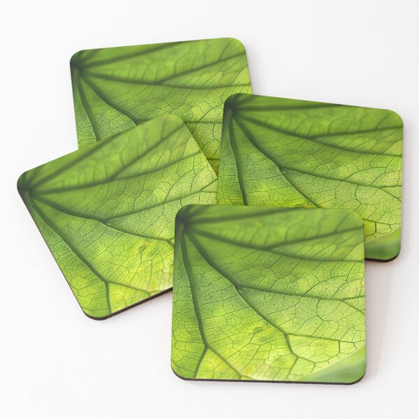 Item preview, Green Leaf Veins Texture designed and sold by Pierce Millington Gallery.