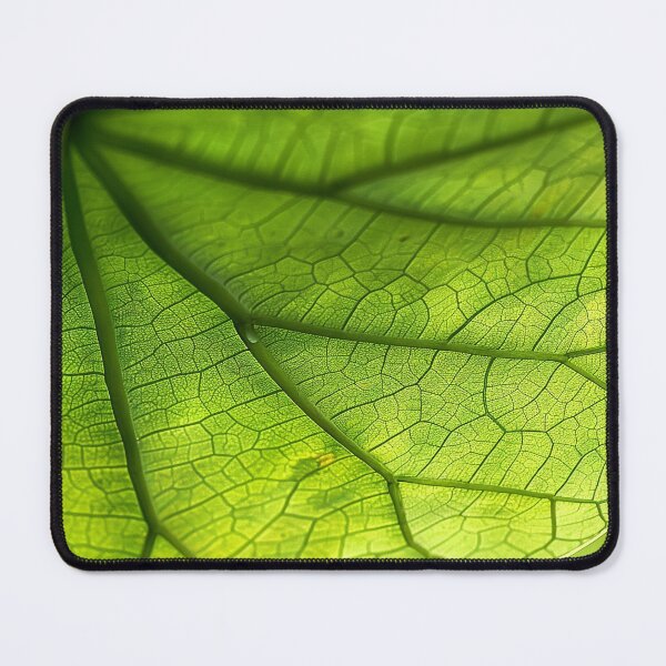 Item preview, Green Leaf Veins Texture designed and sold by Pierce Millington Gallery.