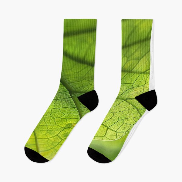 Item preview, Green Leaf Veins Texture designed and sold by Pierce Millington Gallery.