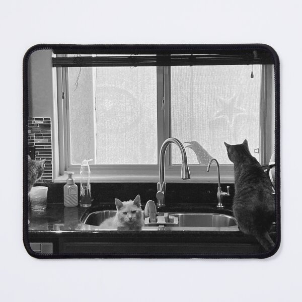 Item preview, Three cats & a raven designed and sold by Papergreat.