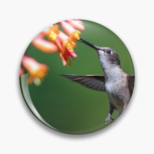 Item preview, Hummingbird and Honeysuckle designed and sold by Craig Sterken.