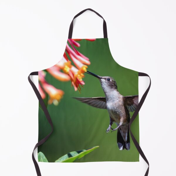 Item preview, Hummingbird and Honeysuckle designed and sold by Craig Sterken.