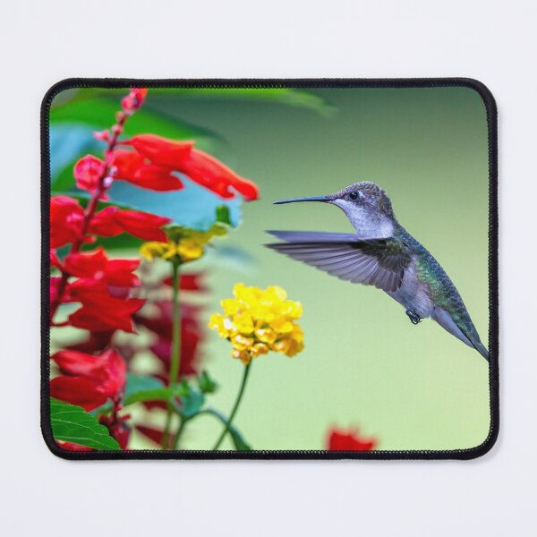 Item preview, Hummingbird hovers by red flowers designed and sold by Craig Sterken.