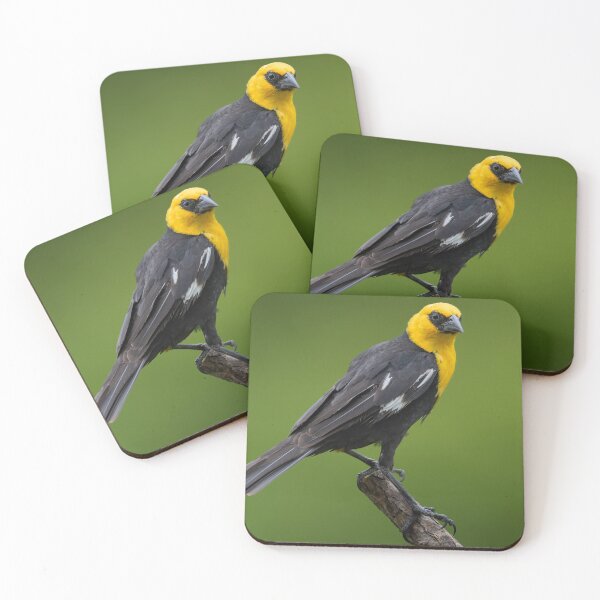 Item preview, Yellow Headed Blackbird designed and sold by Craig Sterken.