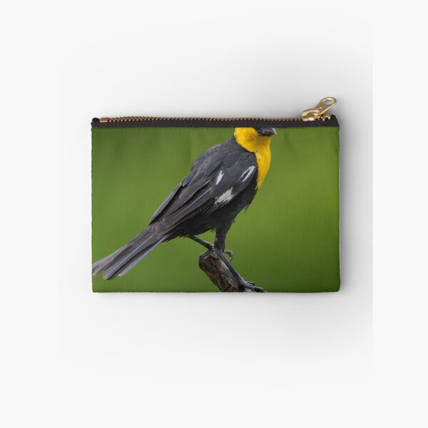 Item preview, Yellow Headed Blackbird designed and sold by Craig Sterken.