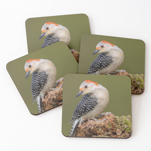 Item preview, Red Bellied Woodpecker designed and sold by Craig Sterken.