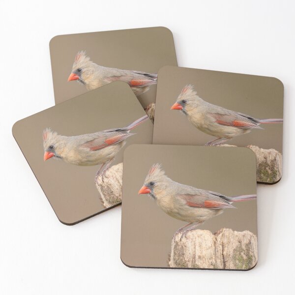 Item preview, Female Cardinal designed and sold by Craig Sterken.