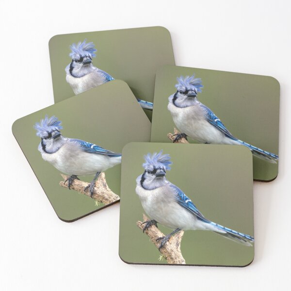Item preview, Blue Jay Bad Hair Day designed and sold by Craig Sterken.