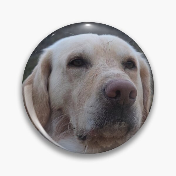 Item preview, Yellow Labrador Portrait on the Beach designed and sold by ONEscapes.