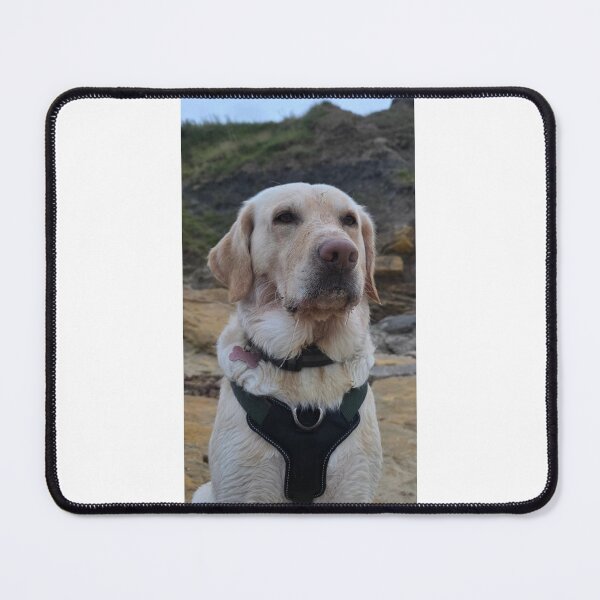 Item preview, Yellow Labrador Portrait on the Beach designed and sold by ONEscapes.