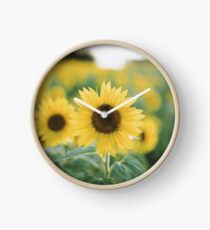 Bee on Sunflower Clock