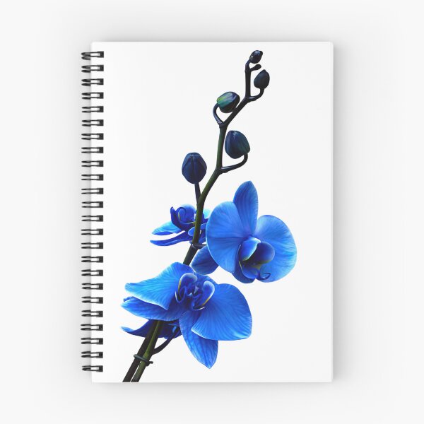 Item preview, Blue Orchid Botanical Photography Fine Art Print Floral Wall Decor designed and sold by GibasVisuals.