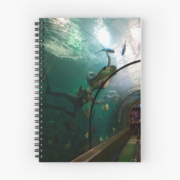 Item preview, Aquarium Exploration  designed and sold by IzzyMeiArt.