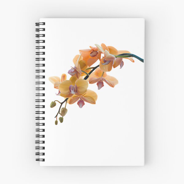 Item preview, Peach Orange Orchid Botanical Photography Fine Art Print Floral Wall Decor designed and sold by GibasVisuals.