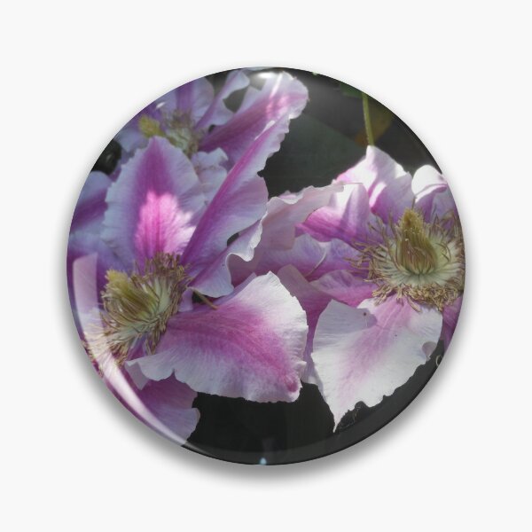 Item preview, Clematis In Pink designed and sold by Kashmere1646.