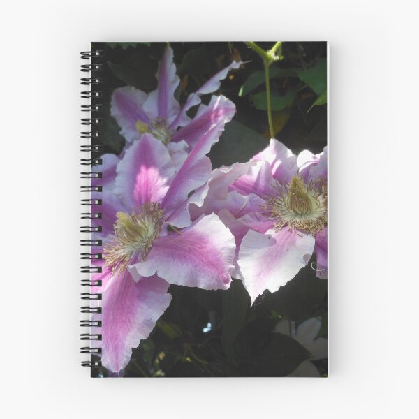 Item preview, Clematis In Pink designed and sold by Kashmere1646.