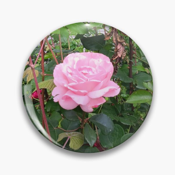 Artikelvorschau, Rosenblätter entworfen und verkauft von Goldentigeress3.