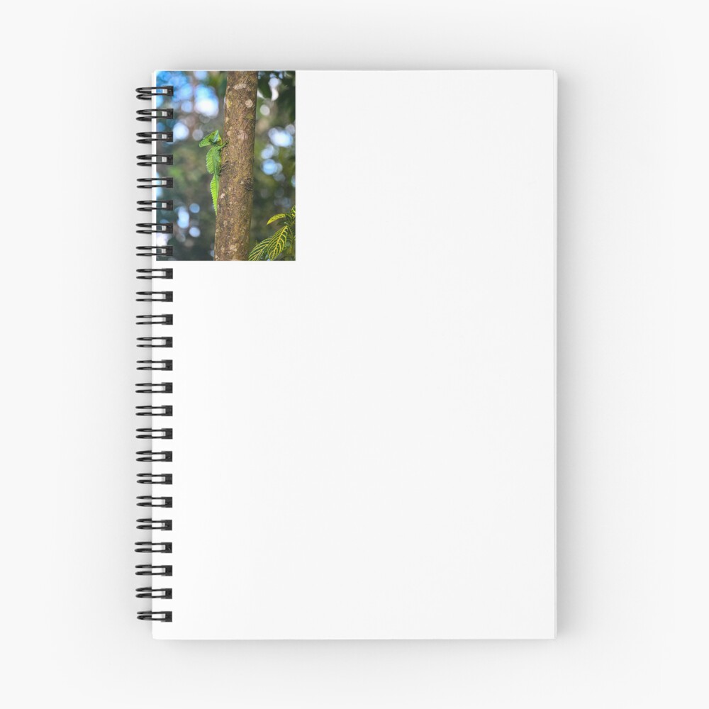 Item preview, Spiral Notebook designed and sold by Izzybeeiscool.