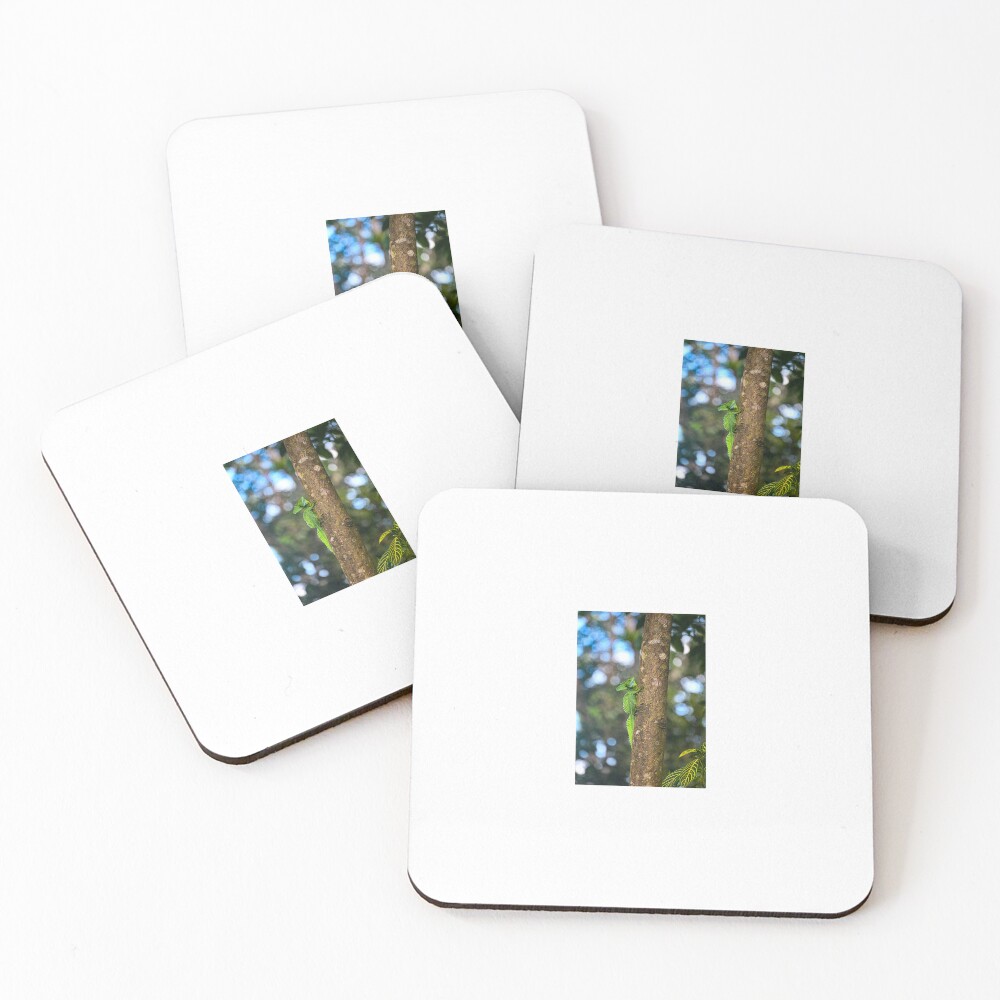 Item preview, Coasters (Set of 4) designed and sold by Izzybeeiscool.
