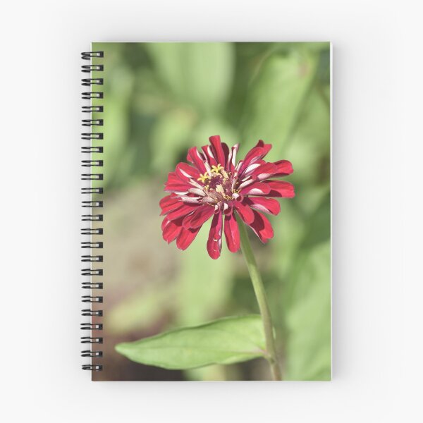 Item preview, Crimson Red Zinnia Vertical Garden Flower Photography designed and sold by TathataPhotos.