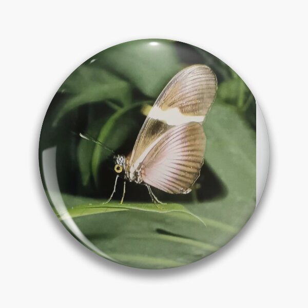 Item preview, Walking on the Wild side! designed and sold by Goldentigeress3.