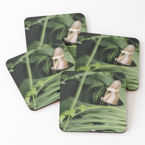 Item preview, Walking on the Wild side! designed and sold by Goldentigeress3.
